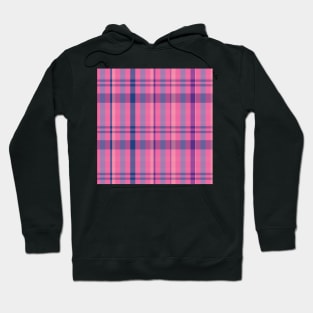 Vaporwave Aesthetic Catriona 2 Hand Drawn Textured Plaid Pattern Hoodie